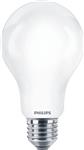 COREPRO  STD 13W (120W) E27 A67 865 MAT