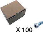 100 CYLINDERSKRUE, TORX