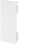 ENDESTYKKE F/FB60110 PERLEHVID