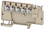 AAP12 2.5 LI DL RD
