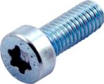 100 CYLINDERSKRUE, TORX, LAVT HOVED