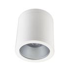 RAX SOFT SURFACE IP65 150 3680LM 4K HVID