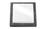 BASSI GRAFIT 10W LED 230V