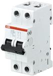AUTOMATSIKRING B100A 2P 6KA 2M