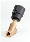 AV210C NO G 1 BRONZE