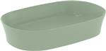 IPALYSS HÅNDVASK BOWLE 600X380X120 MM