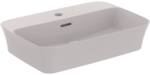 IPALYSS HÅNDVASK BOWLE 550X380X145 MM