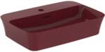 IPALYSS HÅNDVASK BOWLE 550X380X145 MM