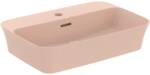 IPALYSS HÅNDVASK BOWLE 550X380X145 MM