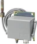 TERMOSTAT       CAS180 060L315366