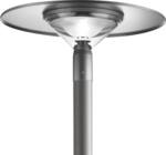 TWILIGHT CANBERRA TOP HAT
