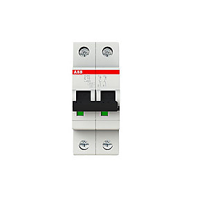 Automatsikring 2P C10